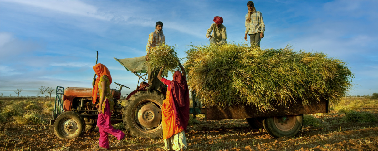 agriculture technology