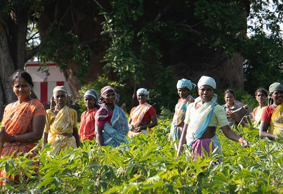 Women and Youth Participation in Cooperatives